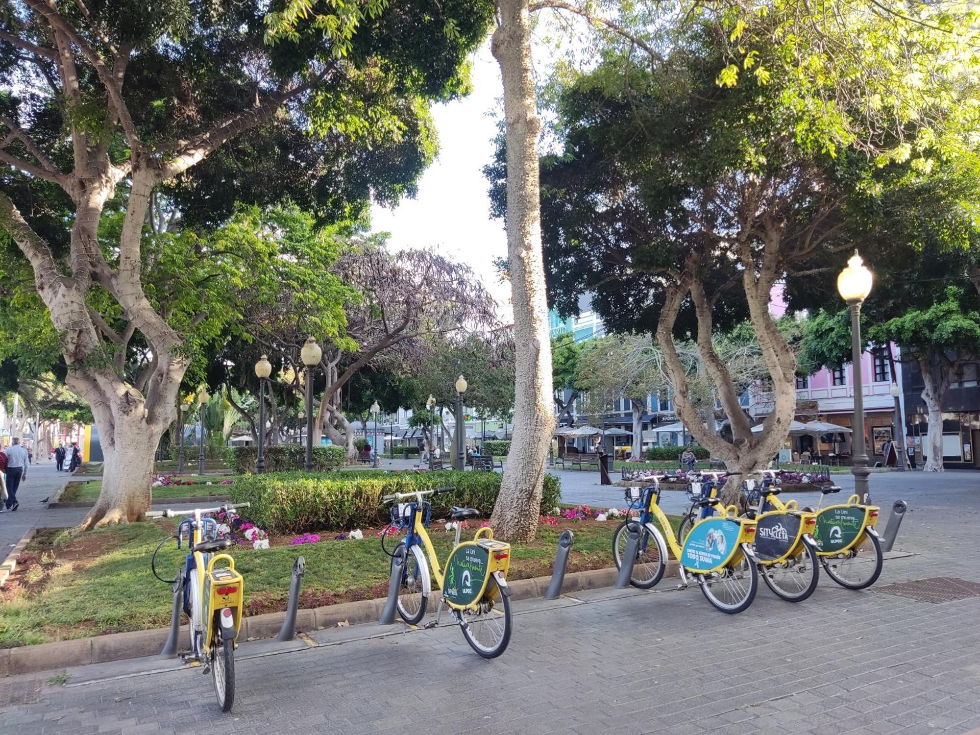 לאס פאלמס דה גראן קנאריה Apartamento Brisa Marina מראה חיצוני תמונה